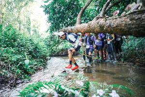 BIB: 
                            <button type="button" onclick="openModal(25468066)" class="btn btn-primary btn-sm float-right btn-popup" data-toggle="modal" data-target=".modal-high-quality">
                        <i class="fas fa-shopping-cart"></i> Add to Cart
                    </button>
                                            <button type="button" onclick="isThisMe(25468066, true)" class="btn btn-success btn-sm float-right btn-popup btn-isme hidden" data-toggle="tooltip" data-placement="bottom" title="นี่คือรูปของคุณใช่ไหม คลิกที่นี่เพื่อเอาเข้าอัลบั้ม">
                        <i class="fas fa-plus"></i> Add to album
                    </button>
                    <button type="button" onclick="isThisMe(25468066, false)" class="btn btn-warning btn-sm float-right btn-popup btn-isnotme hidden">
                        <i class="fas fa-ban"></i> Remove from album
                    </button>